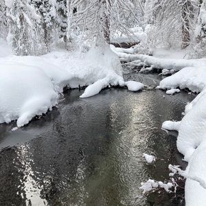 Meet your Posher, Tristin